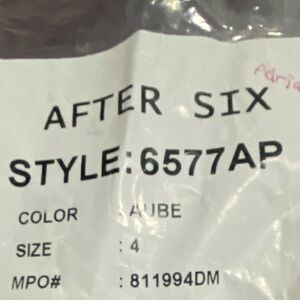 After Six Aubergine Bridesmaid Full Length Dress